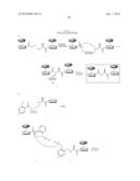 Homogeneous Erythropoietin and Other Peptides and Proteins, Methods and Intermediates for Their Preparation diagram and image