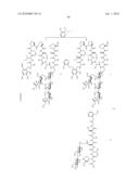 Homogeneous Erythropoietin and Other Peptides and Proteins, Methods and Intermediates for Their Preparation diagram and image