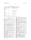 Novel Vectors for Production of Interferon diagram and image