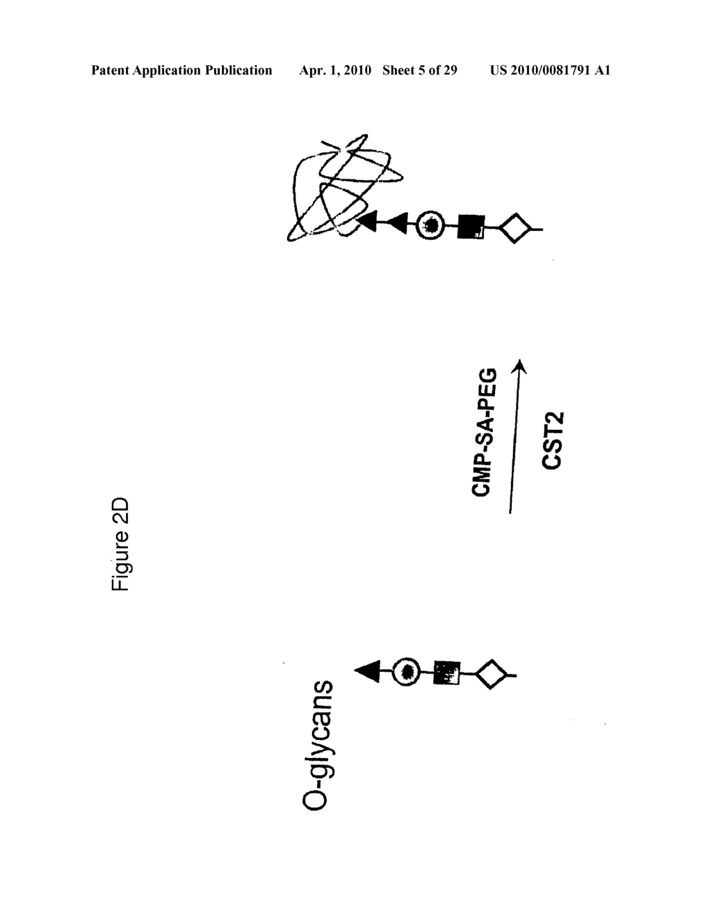 GLYCOPEGYLATED FACTOR IX - diagram, schematic, and image 06