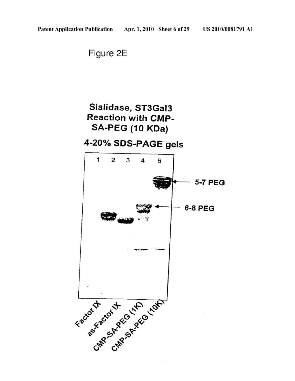 GLYCOPEGYLATED FACTOR IX - diagram, schematic, and image 07