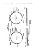 Ligand diagram and image