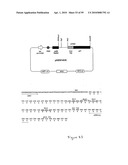 Ligand diagram and image