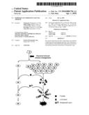 Modified Glycoproteins and Uses Thereof diagram and image