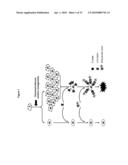 Modified Glycoproteins and Uses Thereof diagram and image