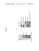 Modified Glycoproteins and Uses Thereof diagram and image