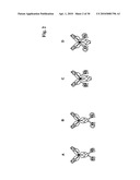 BISPECIFIC ANTI-EGFR/ANTI-IGF-1R ANTIBODIES diagram and image