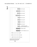 BISPECIFIC ANTI-EGFR/ANTI-IGF-1R ANTIBODIES diagram and image