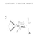 BISPECIFIC ANTI-EGFR/ANTI-IGF-1R ANTIBODIES diagram and image