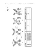 BISPECIFIC ANTI-EGFR/ANTI-IGF-1R ANTIBODIES diagram and image