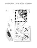 Histological facilitation systems and methods diagram and image