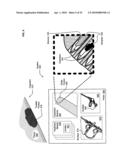 Histological Facilitation systems and methods diagram and image