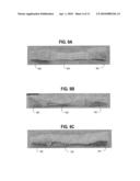 Materials and Methods for Improved Bone Tendon Bone Transplantation diagram and image