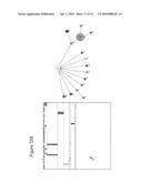 Genetic Diagnosis Using Multiple Sequence Variant Analysis diagram and image