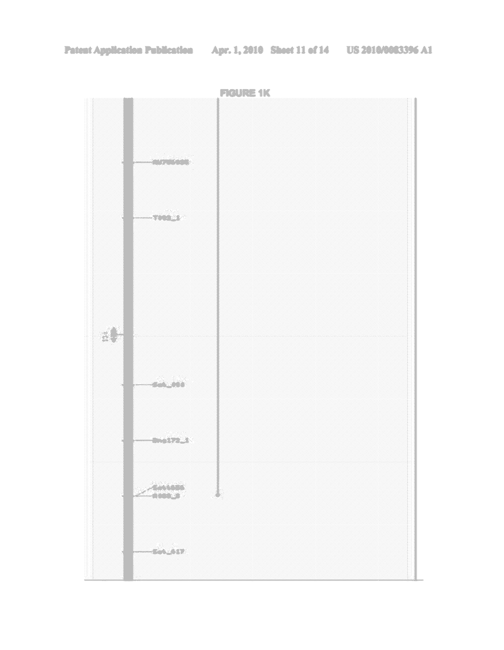 Soybean Gene for Resistance to Aphis glycines - diagram, schematic, and image 12