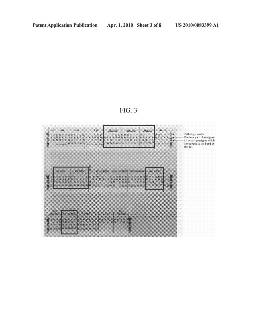 COMPOSITIONS AND METHODS FOR ASSAYING MARKERS TIGHTLY LINKED TO RESISTANCE LOCUS Bs2 OF PEPPER - diagram, schematic, and image 04
