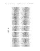 COMPOSITIONS AND METHODS FOR ASSAYING MARKERS TIGHTLY LINKED TO RESISTANCE LOCUS Bs2 OF PEPPER diagram and image