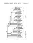 Transcription Factor Sequences for Conferring Advantageous Properties to Plants diagram and image