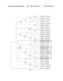 Transcription Factor Sequences for Conferring Advantageous Properties to Plants diagram and image