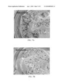 Transcription Factor Sequences for Conferring Advantageous Properties to Plants diagram and image