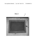 CONFIGURABLE APPARATUS FOR DRYING HOOFS ON HOOFED ANIMALS diagram and image