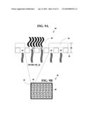 CONFIGURABLE APPARATUS FOR DRYING HOOFS ON HOOFED ANIMALS diagram and image