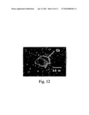 Method and system for electrolytic fabrication of atomic clock cells diagram and image