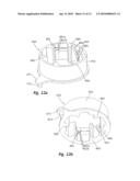 Discharge device diagram and image