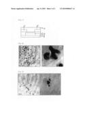 ORGANIC TRANSISTOR AND METHOD FOR FABRICATING THE SAME diagram and image