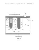 Devices Containing Permanent Charge diagram and image