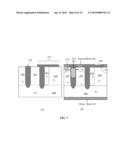 Devices Containing Permanent Charge diagram and image