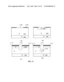 Devices Containing Permanent Charge diagram and image