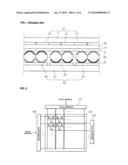 ELECTROPHORETIC DISPLAY DEVICE diagram and image