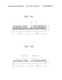 Nonvolatile Memory Devices Having Common Bit Line Structure diagram and image