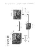 ADAPTIVE PREDICTION USING A DIMENSIONALITY REDUCTION PROCESS diagram and image