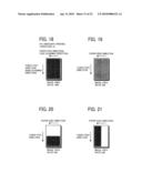 IMAGE FORMING APPARATUS diagram and image