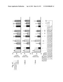 OSTEOPENIA ANIMAL MODEL diagram and image