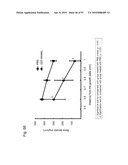 OSTEOPENIA ANIMAL MODEL diagram and image