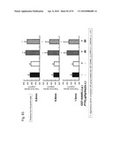 OSTEOPENIA ANIMAL MODEL diagram and image