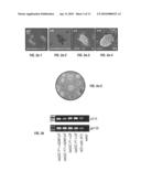 METHOD FOR GENERATING PLURIPOTENT STEM CELLS diagram and image