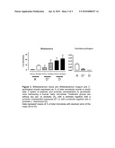 SYNBIOTIC TO IMPROVE GUT MICROBIOTA diagram and image