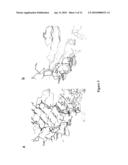 LAGLIDADG HOMING ENDONUCLEASE VARIANTS HAVING NOVEL SUBSTRATE SPECIFICITY AND USE THEREOF diagram and image