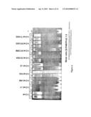 LAGLIDADG HOMING ENDONUCLEASE VARIANTS HAVING NOVEL SUBSTRATE SPECIFICITY AND USE THEREOF diagram and image