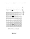 LAGLIDADG HOMING ENDONUCLEASE VARIANTS HAVING NOVEL SUBSTRATE SPECIFICITY AND USE THEREOF diagram and image