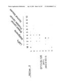 POLYNUCLEOTIDES AND POLYPEPTIDE SEQUENCES INVOLVED IN CANCER diagram and image