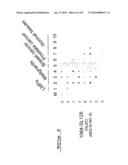 POLYNUCLEOTIDES AND POLYPEPTIDE SEQUENCES INVOLVED IN CANCER diagram and image