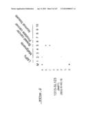 POLYNUCLEOTIDES AND POLYPEPTIDE SEQUENCES INVOLVED IN CANCER diagram and image