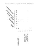 POLYNUCLEOTIDES AND POLYPEPTIDE SEQUENCES INVOLVED IN CANCER diagram and image