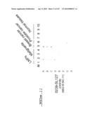 POLYNUCLEOTIDES AND POLYPEPTIDE SEQUENCES INVOLVED IN CANCER diagram and image