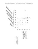 POLYNUCLEOTIDES AND POLYPEPTIDE SEQUENCES INVOLVED IN CANCER diagram and image